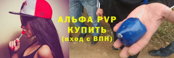 гидра Карпинск
