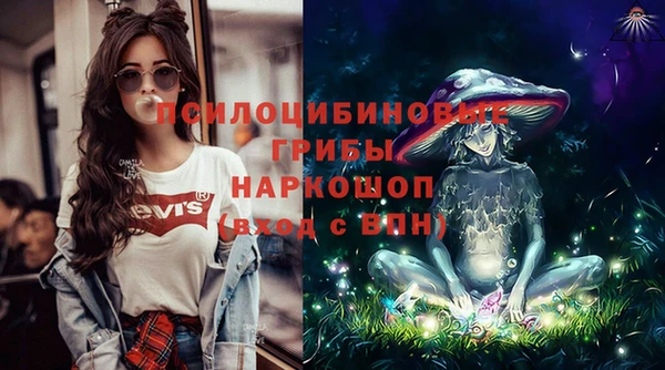 ПСИЛОЦИБИНОВЫЕ ГРИБЫ Касимов