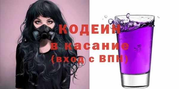 гидра Карпинск