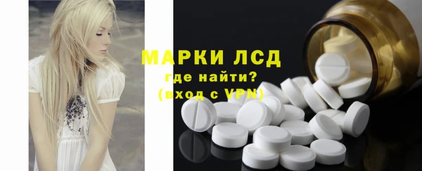 гидра Карпинск
