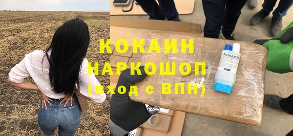 apvp Каменка