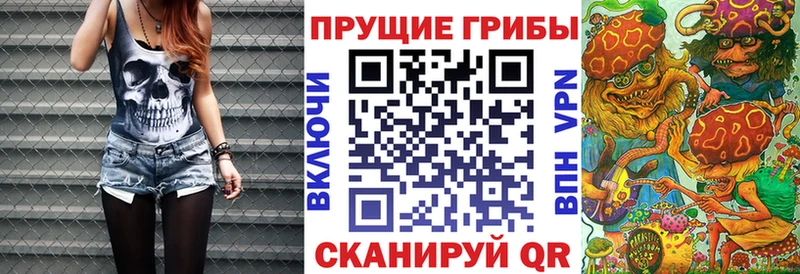 Псилоцибиновые грибы MAGIC MUSHROOMS  Купить где  Белогорск 